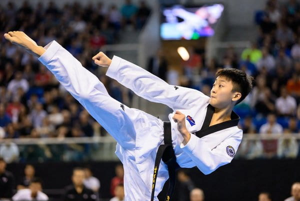 Martial arts schools