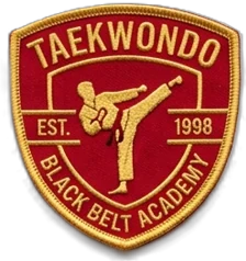 Taekwondo Patch — custom embroidered patch designed with AI on PatchDesign.AI