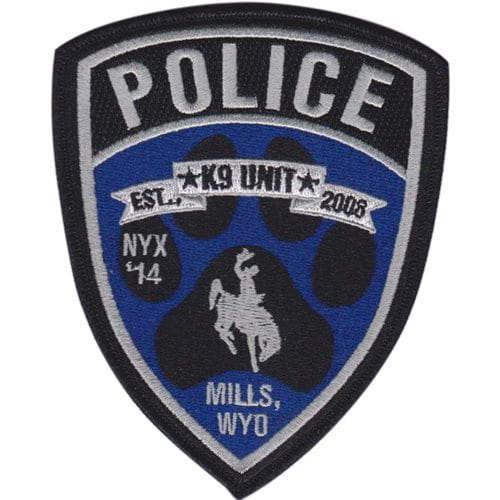 Youth sports team patch — embroidered league crest with team colors — custom embroidered patch designed with AI on PatchDesign.AI