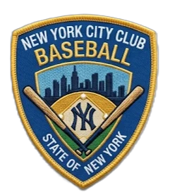 New York Baseball Patch — custom embroidered patch designed with AI on PatchDesign.AI