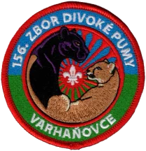 Embroidered scout troop patch with a black panther and a puma circling a fleur-de-lis